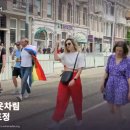 암스테르담의 프라이드축제. 운하축제. 이미지