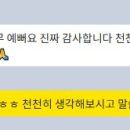 수정애견미용실 이미지