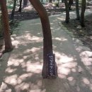 설악산과동해바다그리고온천 이미지