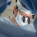 넬 동물의료센터 이미지