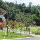 안동호반자연휴양림 이미지