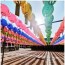 루나무인텔 이미지