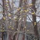 원주여자중학교 이미지