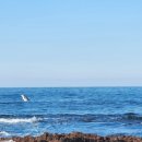 게스트하우스장 이미지