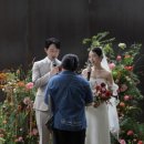 디토 | 서초 레스토랑 디토 스몰웨딩 솔직후기💍 장단점 총정리 (아쉬운 점 위주로...ㅎ)