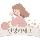 브이라인샵 이미지