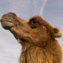 으뜸50안경 압구정역점 이미지