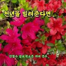 천년을 빌려준다면/ 박진석/ 커버연주/ 이미지