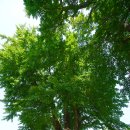 나주시보건소산포지소 | 나주 아이와 가볼만한 금성관, 목사내아, 나주목문화관 소개