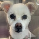 해뜨는 동물병원 이미지