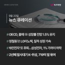 나라비즈솔루션 이미지