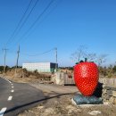 동네농장(2) 이미지