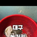 낭만물고기실내바다낚시터 이미지