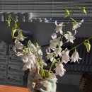 표선면 공영주차빌딩 | [체험] 성수 크래프트 프랙티스 도자기공방 핸드빌딩 원데이 클래스_다녀온 횰이의 솔직한 후기