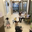 딜리동물병원 이미지