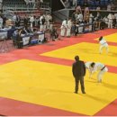 함성 유도관 이미지