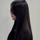 혜인동물약품 | 송도미용실에서 찾은 편안한 공간과 세심한 서비스 후기