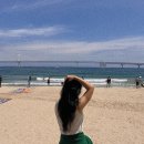이어도활어회 | 8월 부산 커플 여행 코스 직접 가본 광안리 웨이팅 맛집 BEST 솔직후기 꿀팁 총정리