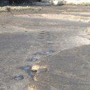 공룡 발자국화석지 이미지