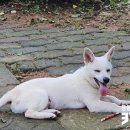 인천영종초등학교금산분교장 이미지