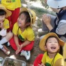 해바라기자연유치원 이미지