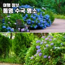 산유골 수목정원 네이버블로그