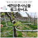 블로그 인연으로 생긴 저의 애정이웃님들 예천3총사님들 만나뵙고 왔어요.