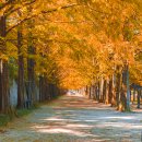 담양관광정보센터 이미지