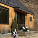 보리네 | 강원도 인제 독채 보리네 민박 솔직후기 장점! 단점?