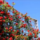 중계동성당 이미지