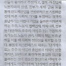 기우 Daum카페