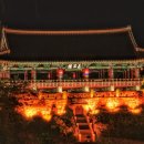 수원-1593 네이버블로그