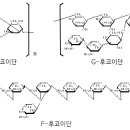 미소약국 이미지