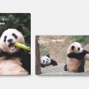 바오 호텔 이미지