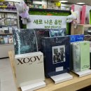 진주-반성-비상-23 | 25년 3월 일상 조각 모음 | 카페나들이, 퍼컬진단, 쇼핑후기
