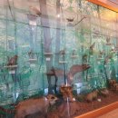 두리맛 감자탕 정읍점 이미지