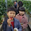 신동농장 이미지