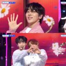 디케이지 카카오 검색결과