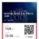 새미새 이미지