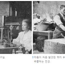 새라돈가스 이미지