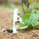 아인이네농장 이미지