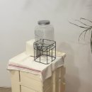 찐으로 쓰는 정발산 [에셀스킨] 문제성 피부 압출 해초 필링 후기