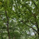 추억여행 이미지