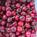 따봉청과 이미지