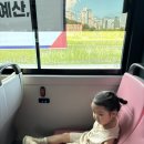 스콜라몬테소리 세종새롬점