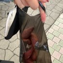 제주 동문시장에서 간식 먹은 후기(할머니 호떡,서* 떡볶이,꿀고구마)