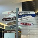 홍천 비발디파크 | 소노벨 B 패밀리 오크 스탠다드 취사 2박 3일 내돈내산 후기 (무조건 마운틴 뷰 하세요)