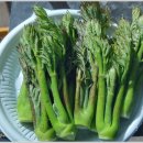 김주일농장 이미지