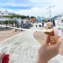 문어빵빵 | 여수 딸기모찌 가격,추천,보관 총정리! 여수맛나당 본점 문어빵까지 솔직후기