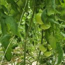 병수네농장 이미지